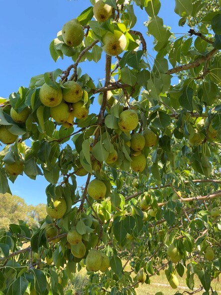 More Photos Of 157 Hergenrider Rd, Bridger Land For Sale