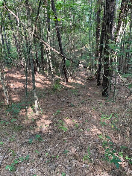 More Photos Of 0 Hwy 190 E, Huntsville Land For Sale