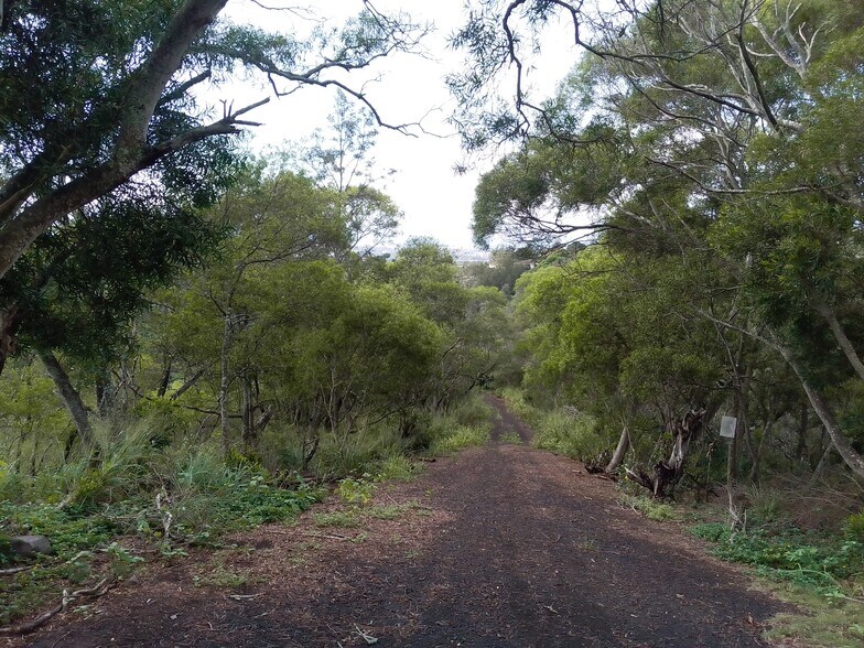 More Photos Of 99-1757 Welelau, Aiea Land For Sale