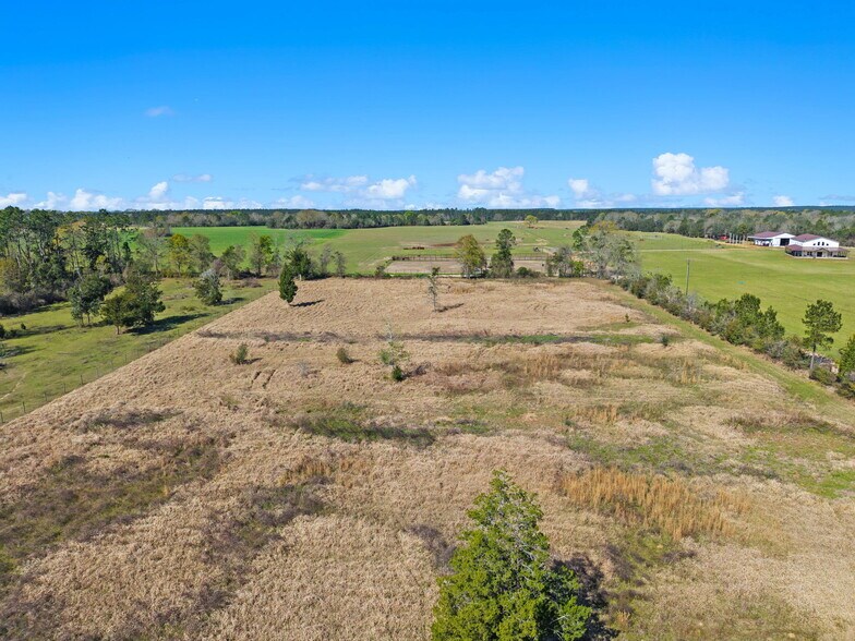 More Photos Of 33951 Lee Rd, Robertsdale Land For Sale