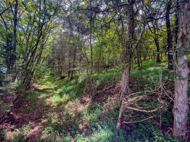More Photos Of 910 Old Fort Ln, Chuckey Land For Sale