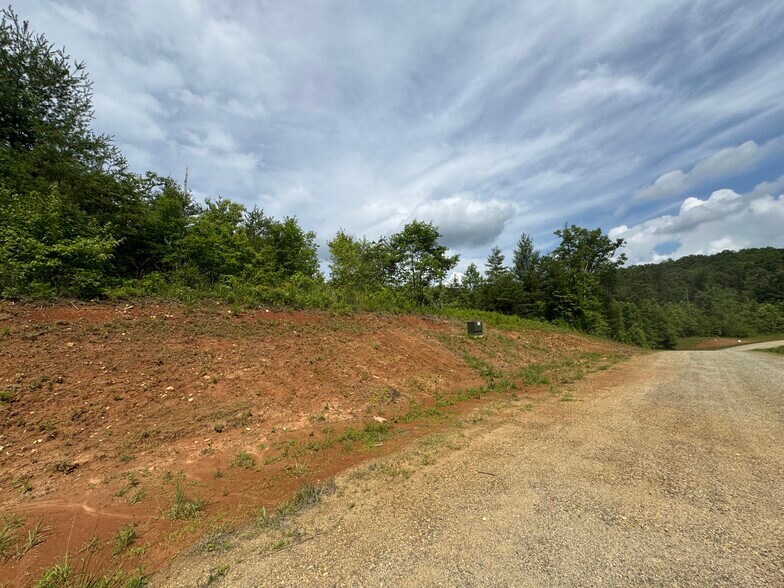 More Photos Of Hwy 515, Morganton Land For Sale