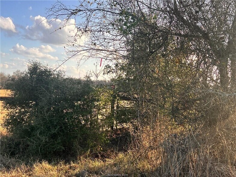 More Photos Of Fm-1469, Marquez Land For Sale