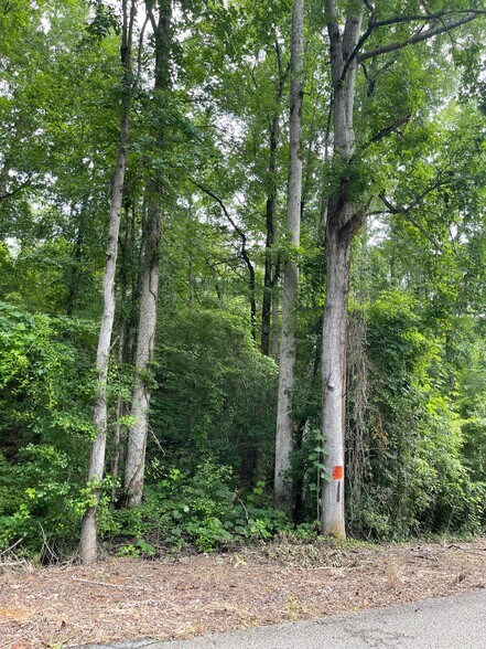 More Photos Of 17796 Dry Branch loop, Northport Land For Sale