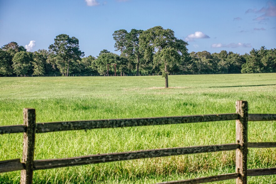 More Photos Of 1034 Hilbun Rd, New Ulm Land For Sale