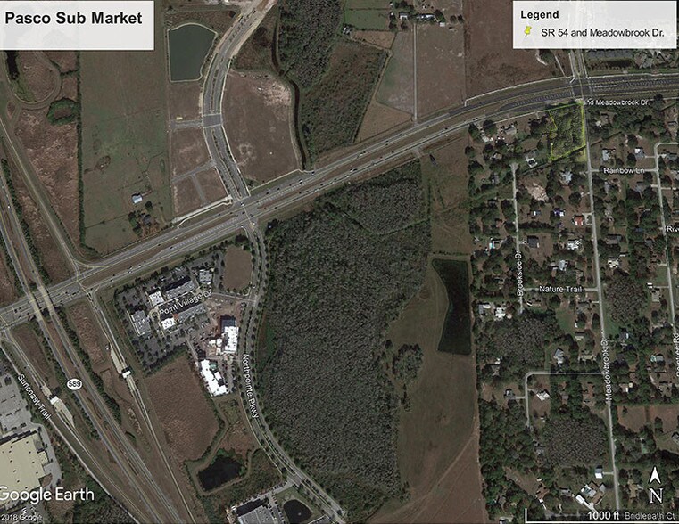 More Photos Of SWC S R 54 & Meadowbrook Dr, Lutz Land For Lease