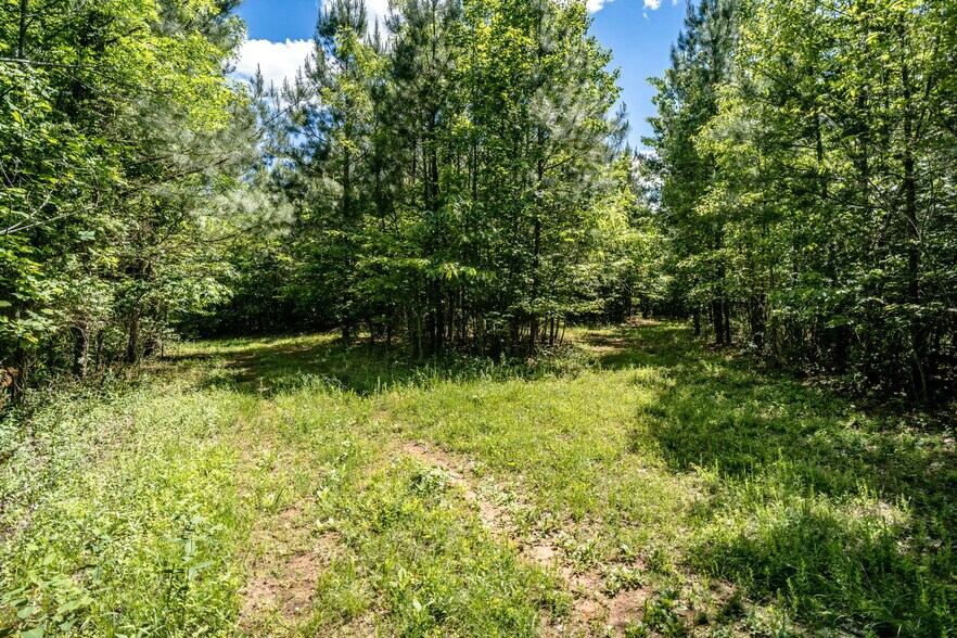 More Photos Of tbd Green Creek Rd, Schuyler Land For Sale