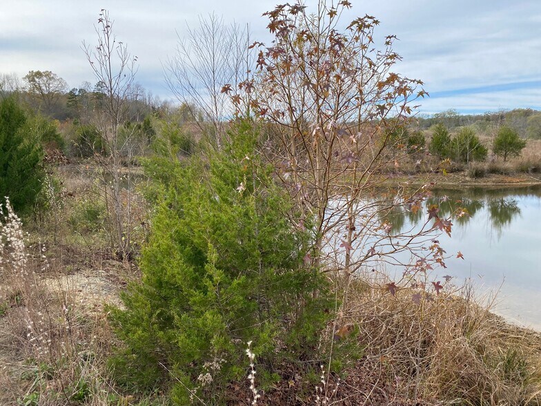 More Photos Of 1486 Martin Road, Ware Shoals Land For Sale