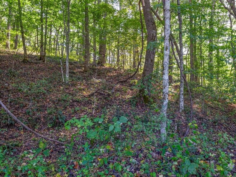 More Photos Of 0 Cox Hollow Rd, Dover Land For Sale