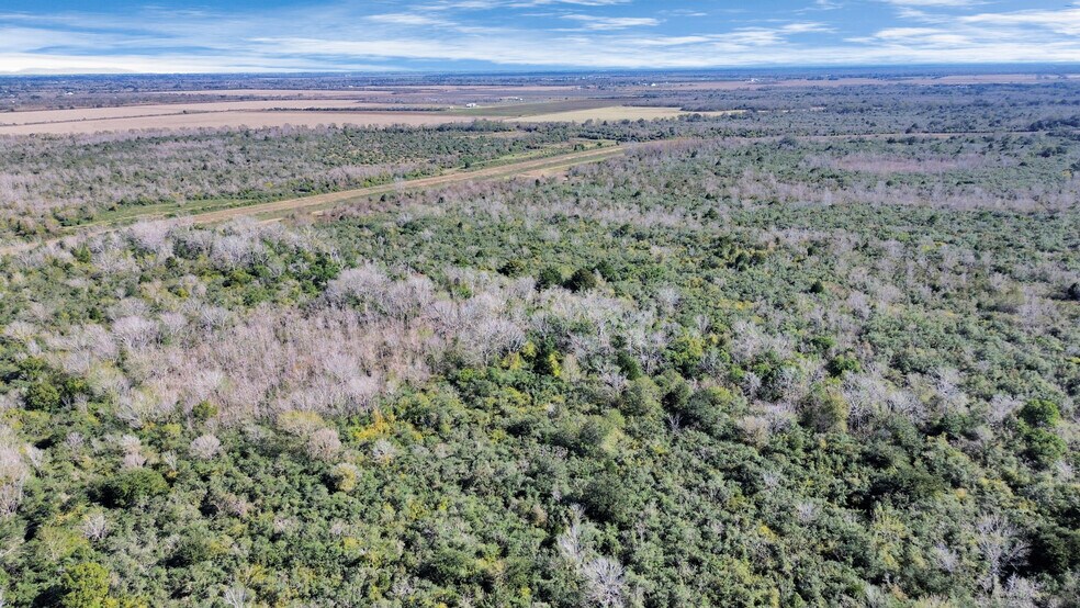 More Photos Of 10 FM 2403, Alvin Land For Sale