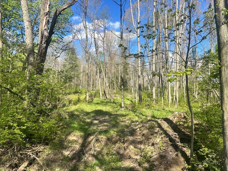 More Photos Of 3022 Wilmington Rd, New Castle Land For Sale