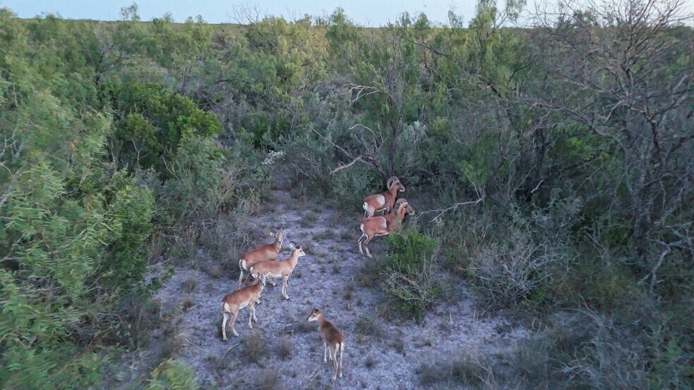 More Photos Of 000 Ranch to Market 3008, Brackettville Land For Sale