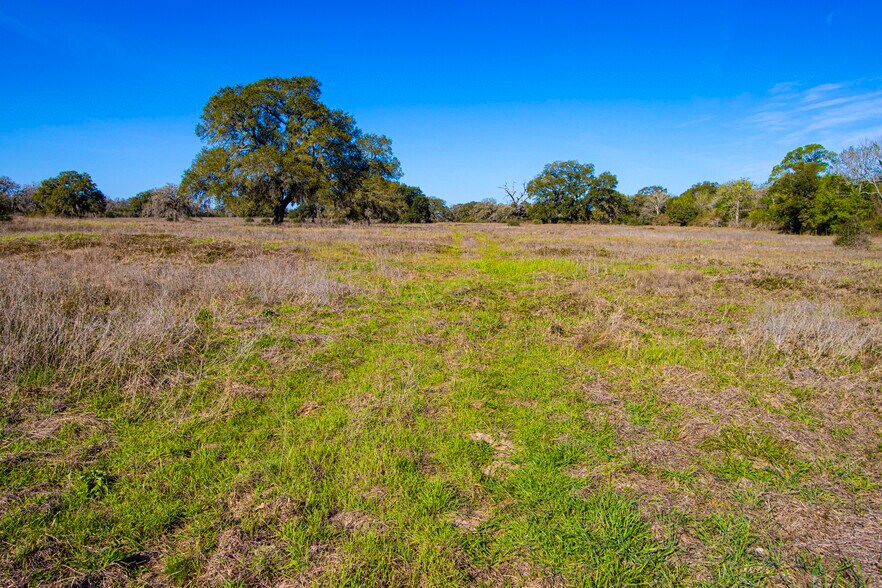 More Photos Of 1984 Highway 71, Columbus Land For Sale