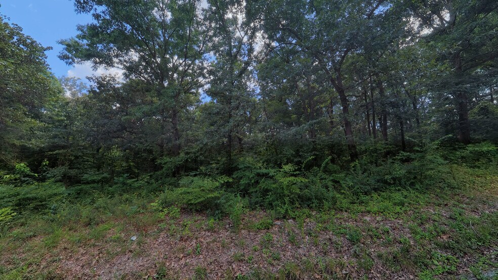 More Photos Of 457 Pitcher Rd S, Morgantown Land For Sale