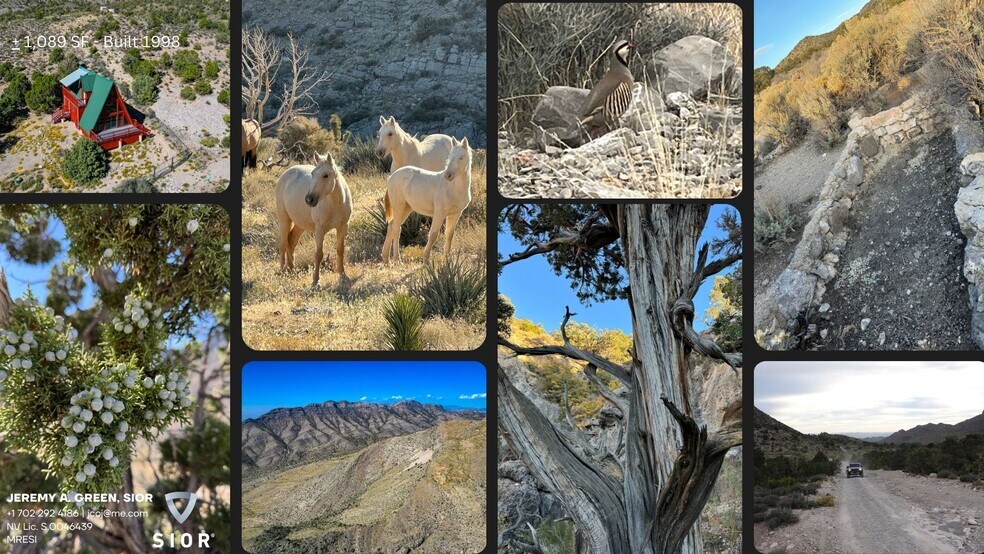 More Photos Of 11951 Mt. Potosi Canyon Rd, Las Vegas Land For Sale