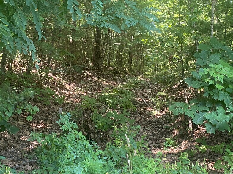 More Photos Of 15 Old Gilbertville Rd, Ware Land For Sale