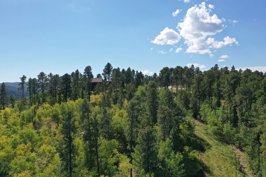 More Photos Of TBD Cutting Mine Rd., Lead Land For Sale