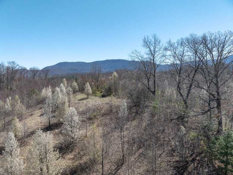 More Photos Of 00 Woodland Dr, Waynesville Land For Sale