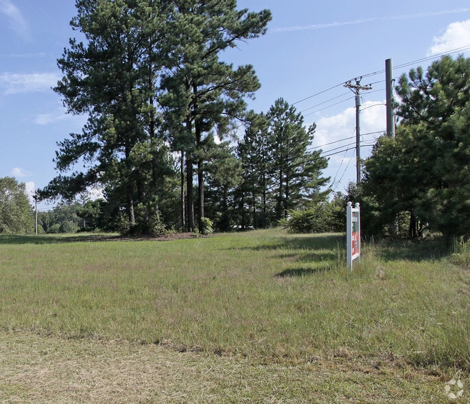 More Photos Of Palmetto-Tyrone Rd, Tyrone Land For Sale