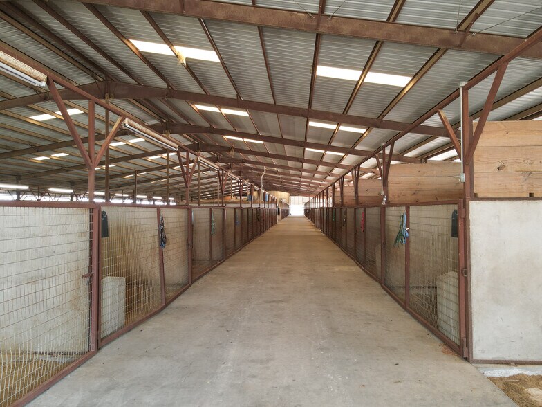 More Photos Of 5686 New Authon Rd, Weatherford Land For Sale