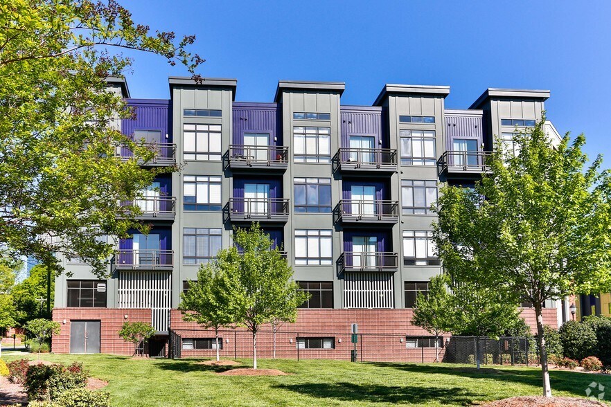 More Photos Of 810 E 7th St, Charlotte Apartments For Lease