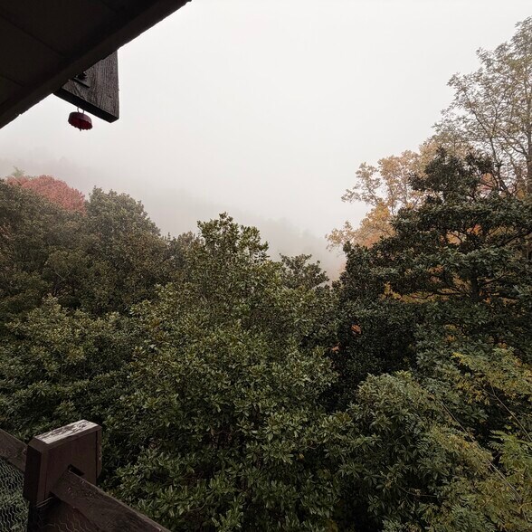 More Photos Of 1081 Cove Rd, Sevierville Specialty For Sale