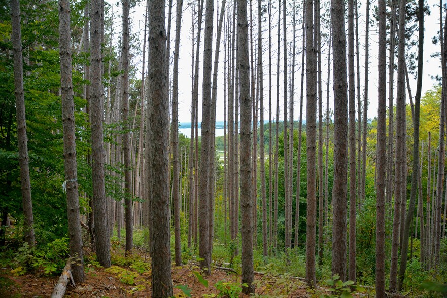 More Photos Of E Carter Rd, Traverse City Land For Sale