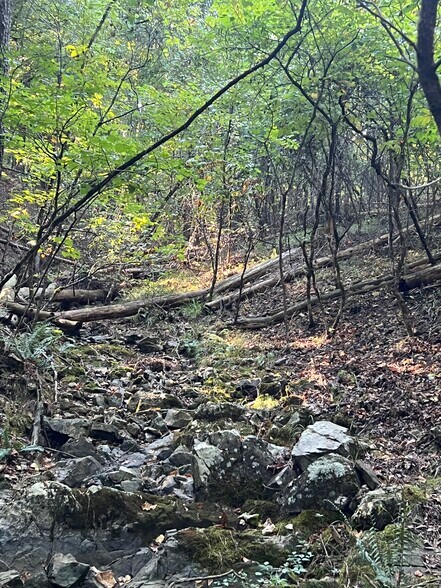 More Photos Of 92 Lillian Strong rd, Carlton Land For Sale