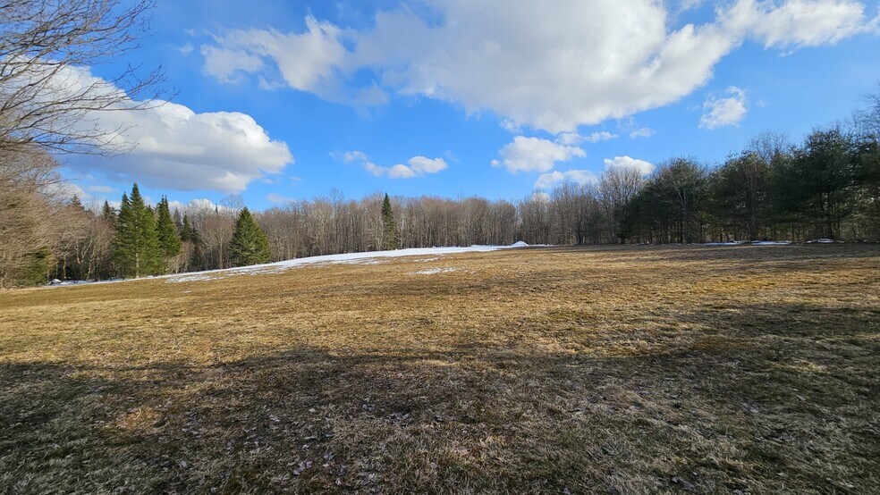 More Photos Of 1316 William Ernst Rd, West Leyden Land For Sale