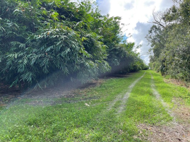 More Photos Of 1448 Broadus Williams Rd, Zolfo Springs Land For Sale