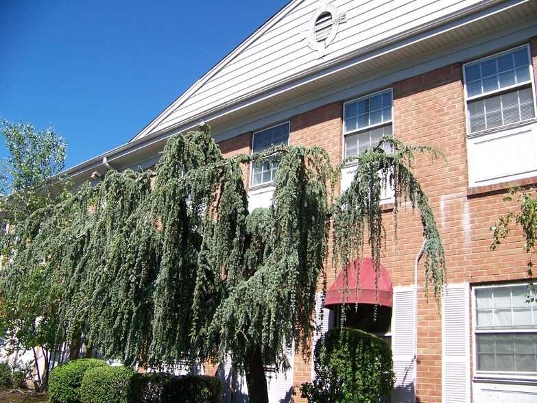 More Photos Of 1030 Clifton Ave, Clifton Medical For Sale