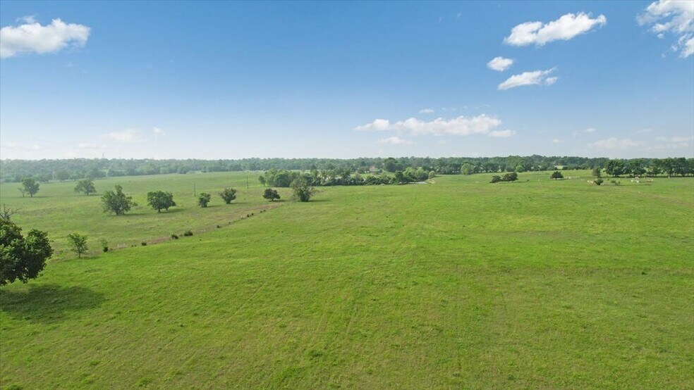 More Photos Of TBD Farm to Market Road 100, Honey Grove Land For Sale