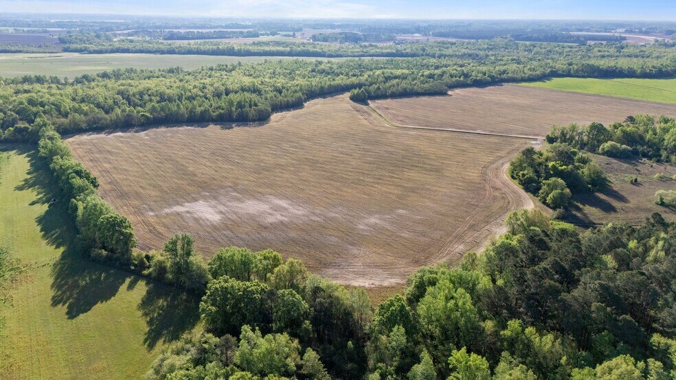 More Photos Of 492 Doc Henderson Rd, Maxton Land For Sale