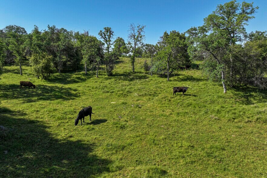 More Photos Of Dry Creek Drive, Badger Land For Sale