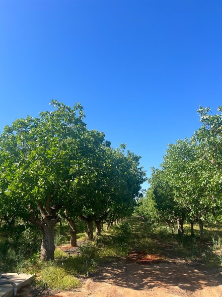 Primary Photo Of 1 Road 36, Madera Land For Sale