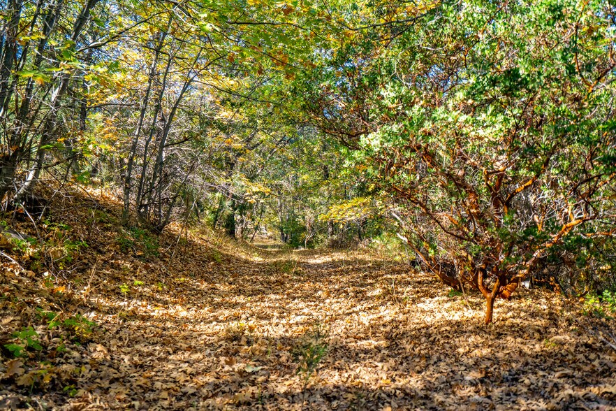 More Photos Of 2810 Three Peaks Ln, Julian Land For Sale