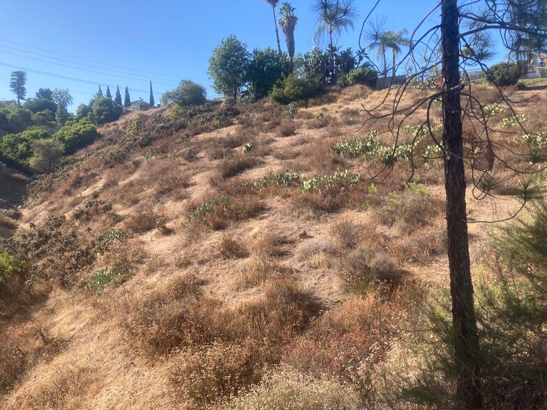 More Photos Of 0 Calle Los Arboles, Spring Valley Land For Sale
