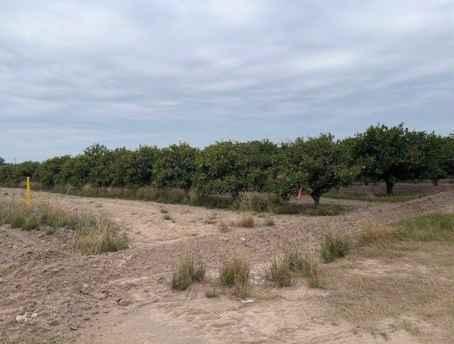 More Photos Of 42.90 Acs at NE Corner of S. Stewart & Hall Acres, San Juan Land For Sale