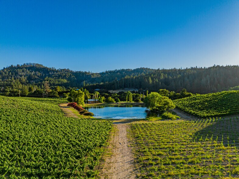 More Photos Of 8320 Franz Valley Rd, Calistoga Land For Sale