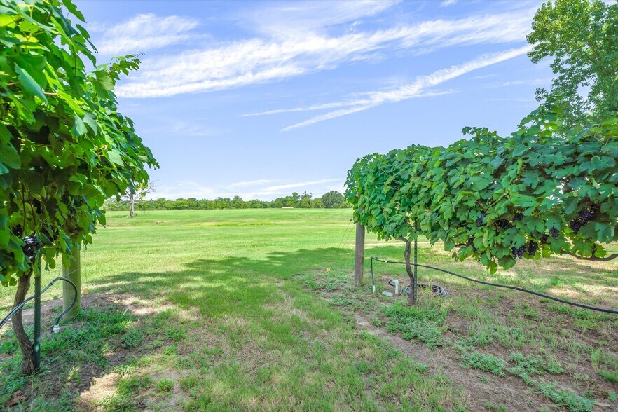 More Photos Of 5518 State Highway 198, Canton Winery Vineyard For Sale