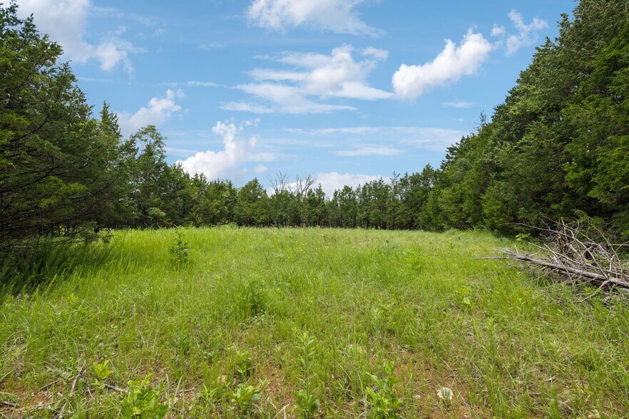 More Photos Of 7665 Shelbyville Pike, Christiana Land For Sale