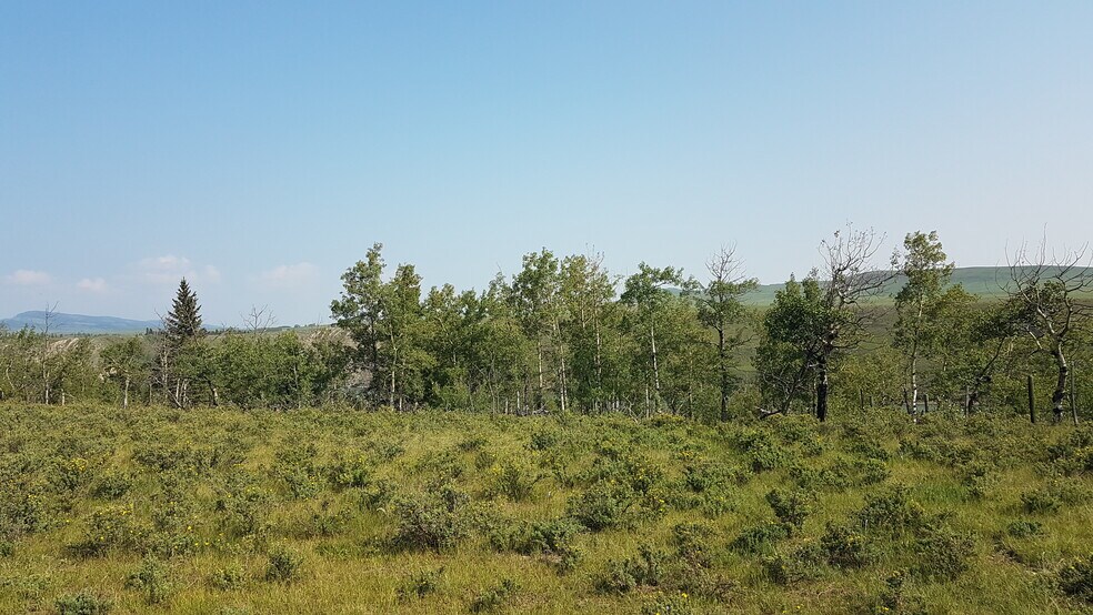 More Photos Of 1 Bow River, Rocky View No 44 Land For Sale