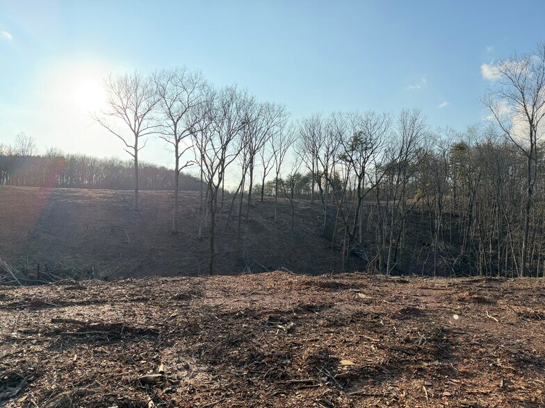 More Photos Of 260 Arnold Rd NE, Fairmount Land For Sale
