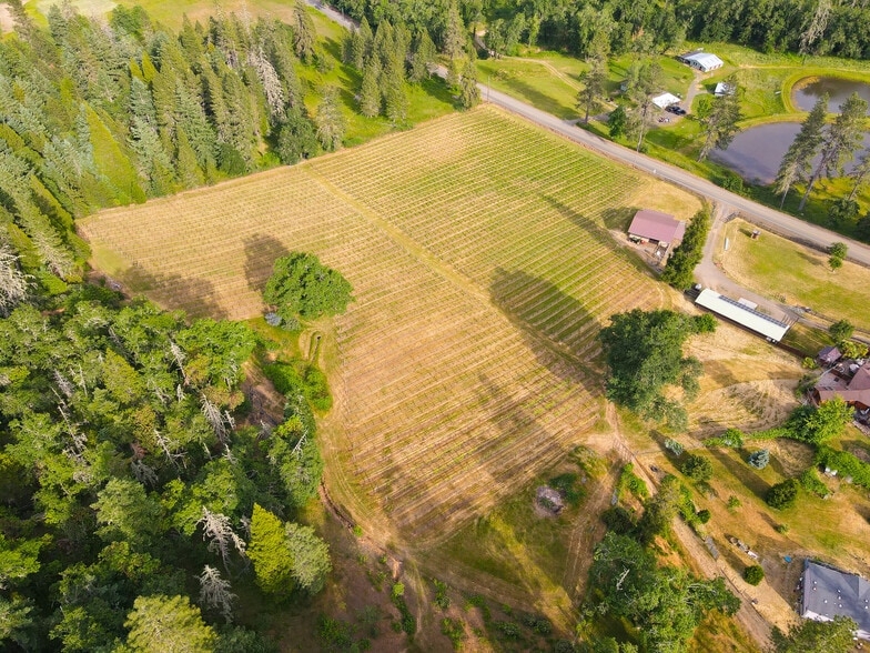 More Photos Of 1329 Larson Rd, Roseburg Winery Vineyard For Sale