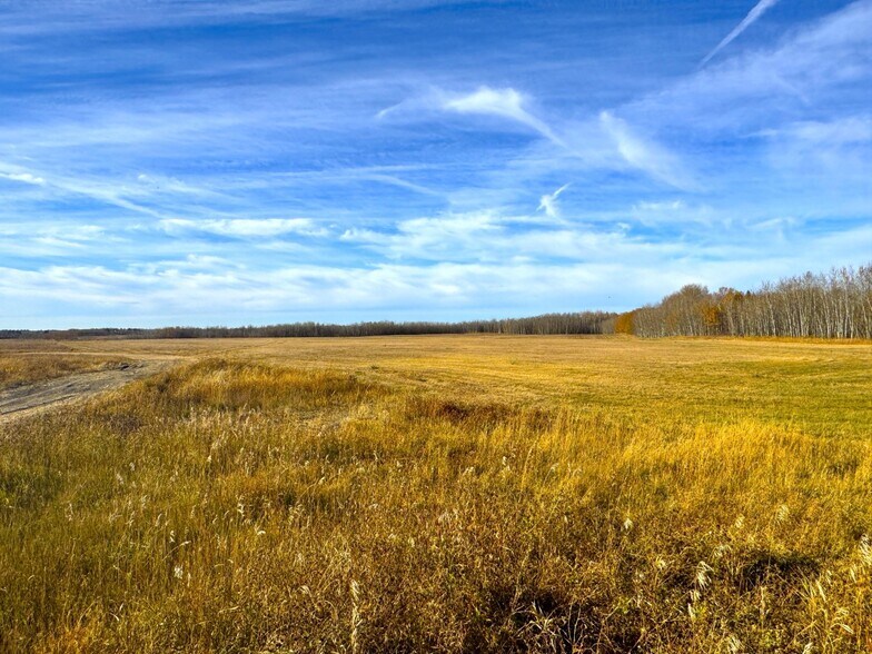 More Photos Of Centre St, Leduc County Land For Sale