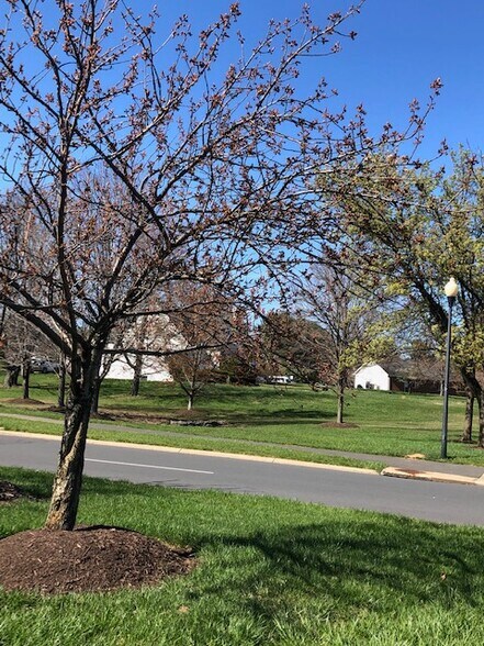 More Photos Of 20935 Potomac View Rd, Sterling General Retail For Lease