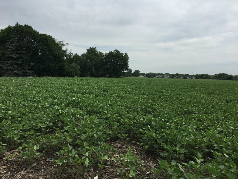 More Photos Of N Randall Road, Aurora Land For Sale