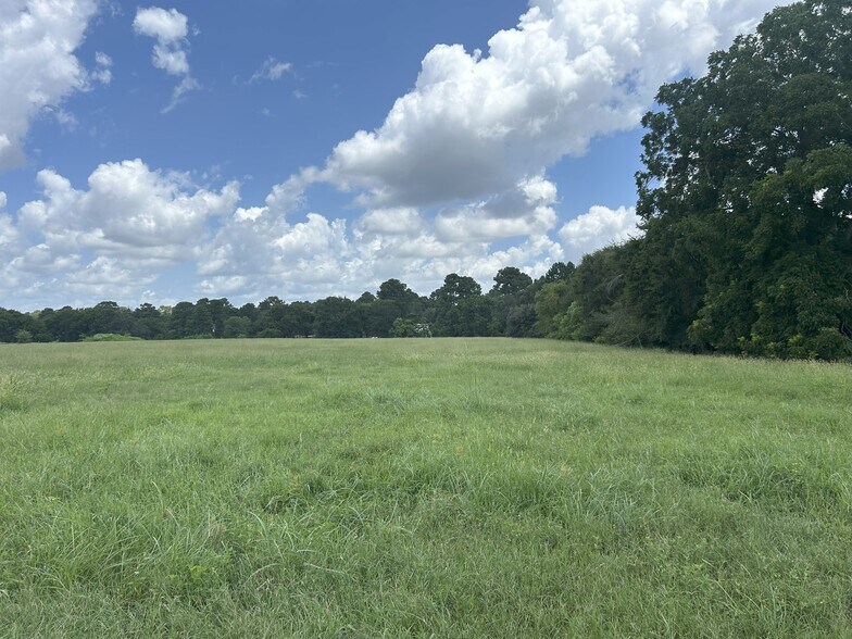 More Photos Of 25396 Magnolia Rd, Hockley Land For Sale