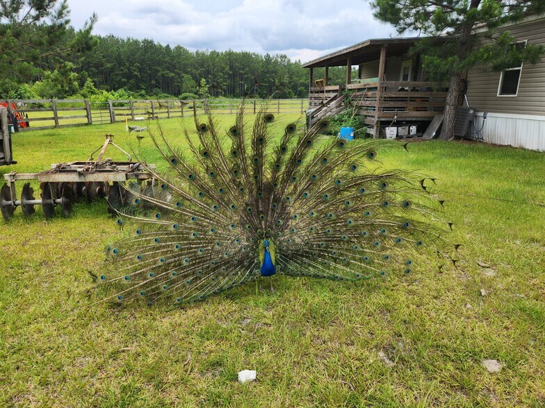 More Photos Of 6939 SW 1 Federal Rd, Lamont Land For Sale