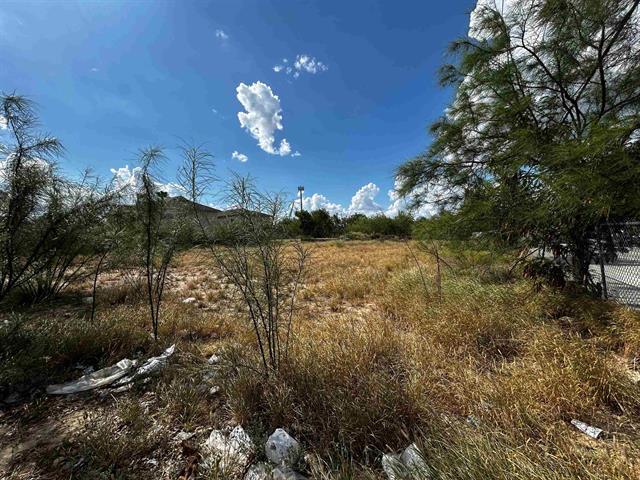 More Photos Of Canada & O'Kane, Laredo Land For Sale